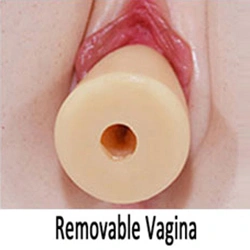 Austauschbare Vagina