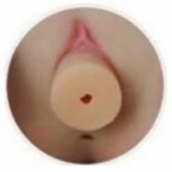 Vagina austauschbar - einfachere Reinigung!