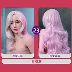 Wig-23