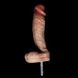 15.5cm