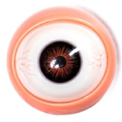 Eyes-4(kapillare Blutgefäße)