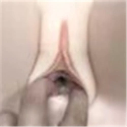 Eingebaute Vagina
