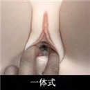 Eingebaute Vagina